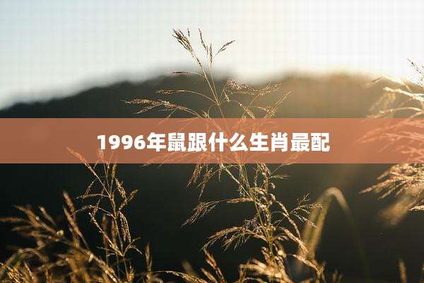 1996年鼠跟什么生肖最配