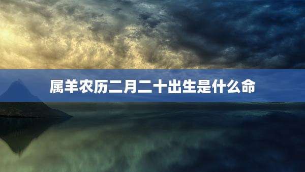 属羊农历二月二十出生是什么命