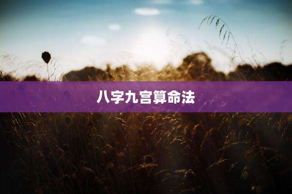 八字九宫算命法