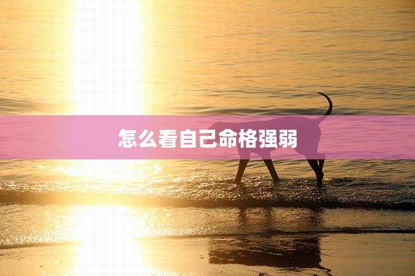 怎么看自己命格强弱