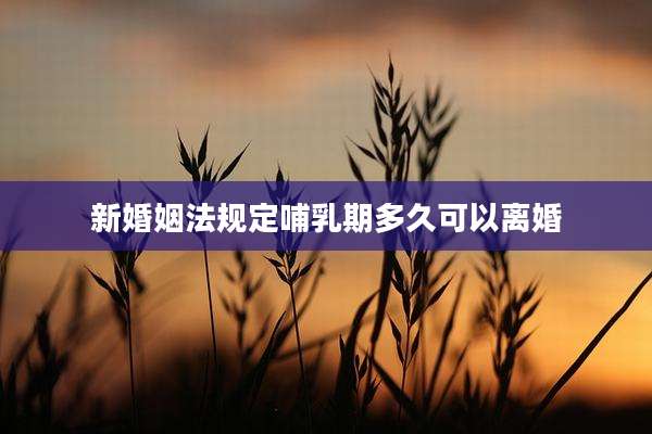 新婚姻法规定哺乳期多久可以离婚