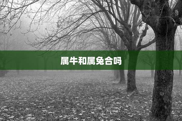属牛和属兔合吗