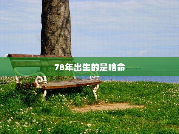 78年出生的是啥命