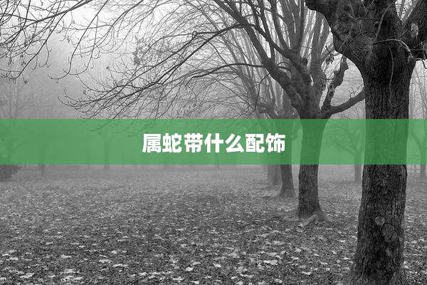 属蛇带什么配饰