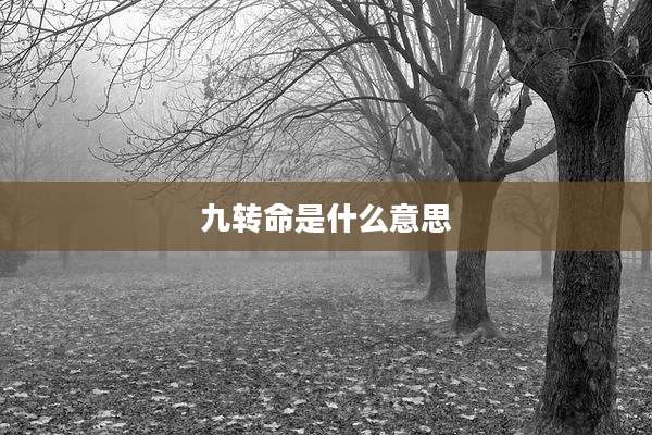 九转命是什么意思