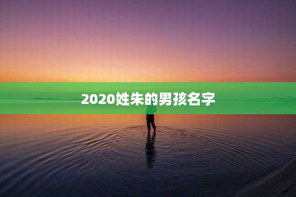 2020姓朱的男孩名字