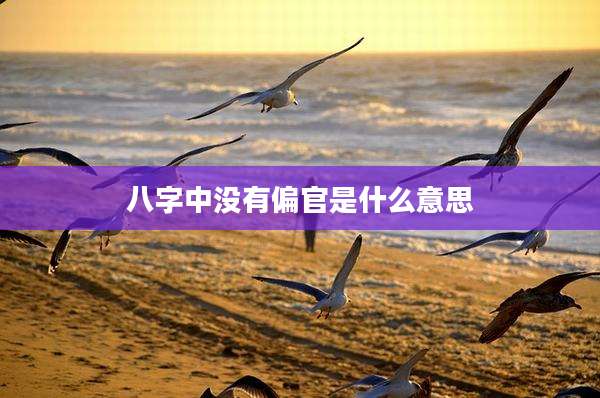 八字中没有偏官是什么意思