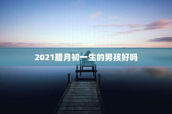 2021腊月初一生的男孩好吗