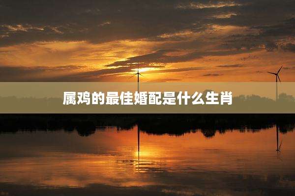 属鸡的最佳婚配是什么生肖