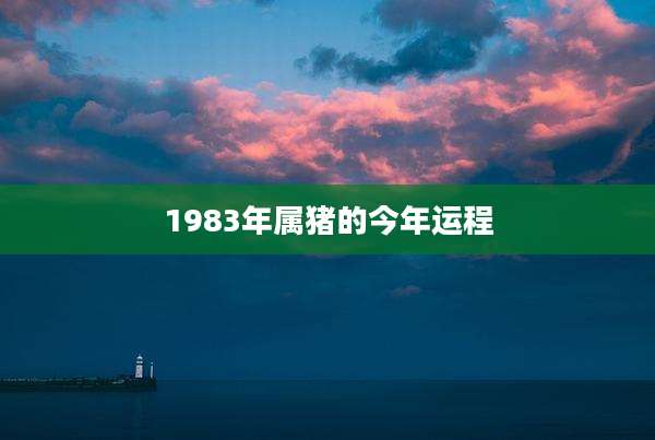 1983年属猪的今年运程