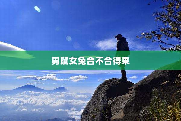 男鼠女兔合不合得来