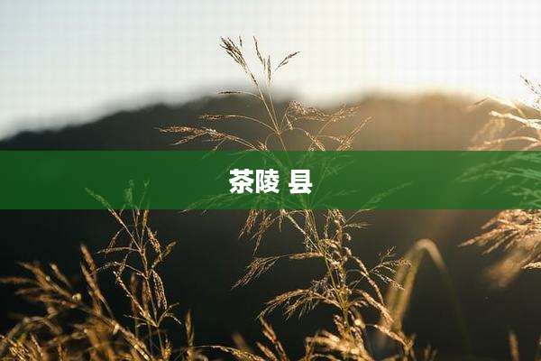 茶陵 县