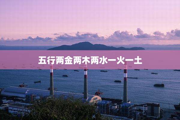 五行两金两木两水一火一土