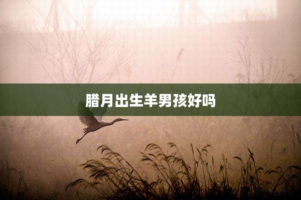 腊月出生羊男孩好吗