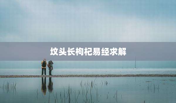 坟头长枸杞易经求解