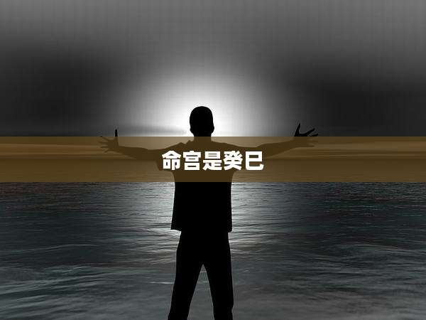 命宫是癸巳