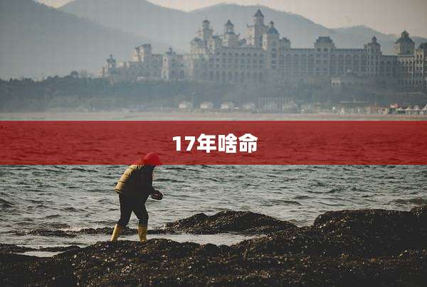 17年啥命