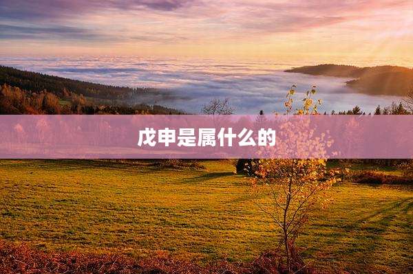 戊申是属什么的