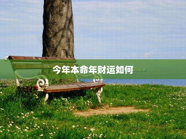 今年本命年财运如何