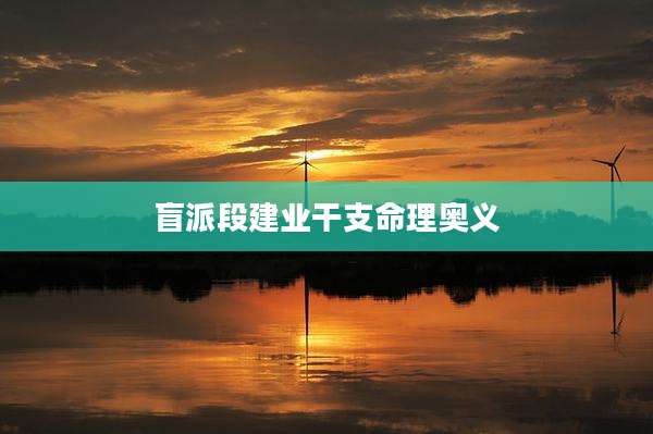 盲派段建业干支命理奥义