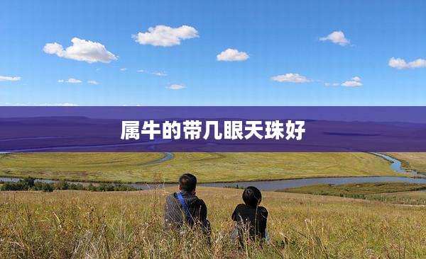 属牛的带几眼天珠好