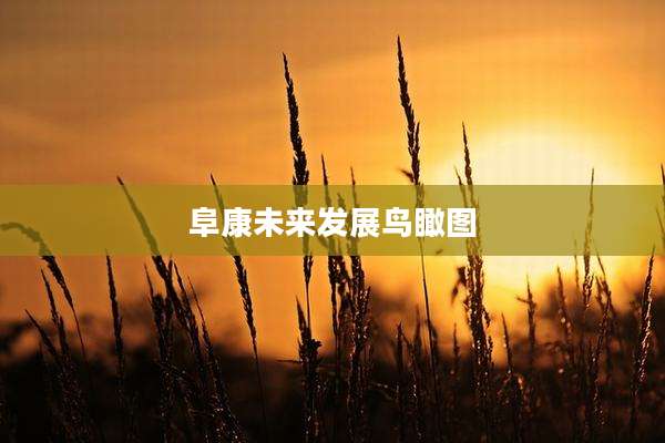 阜康未来发展鸟瞰图