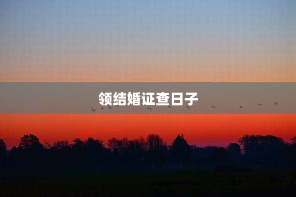 领结婚证查日子