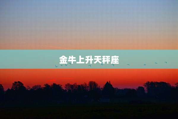 金牛上升天秤座