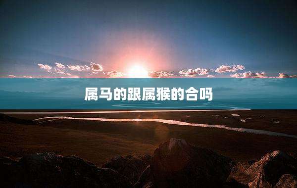 属马的跟属猴的合吗