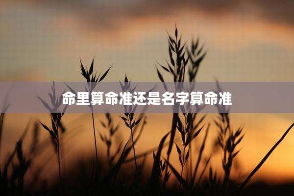 命里算命准还是名字算命准