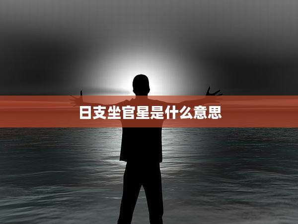 日支坐官星是什么意思