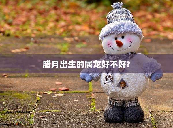 腊月出生的属龙好不好?