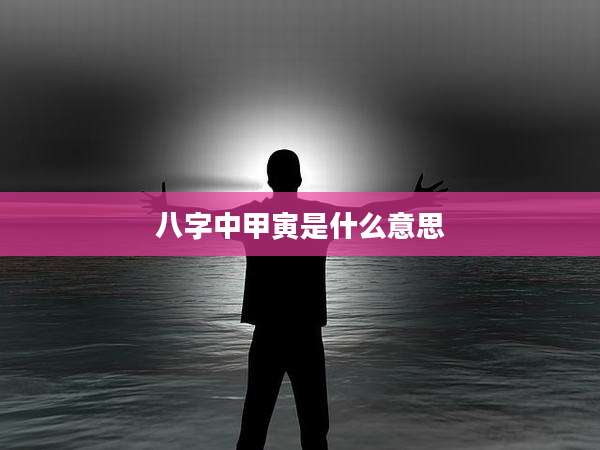 八字中甲寅是什么意思