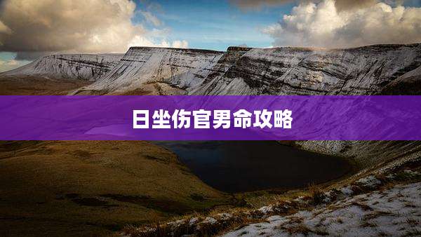 日坐伤官男命攻略