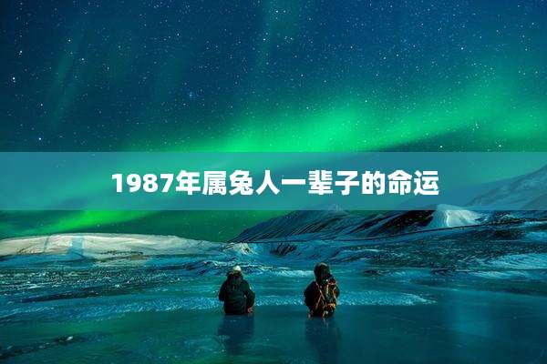 1987年属兔人一辈子的命运