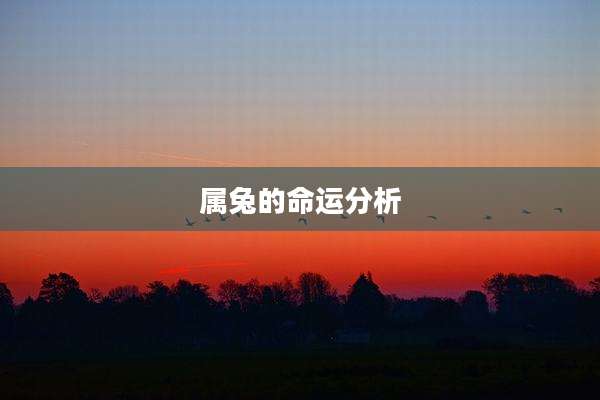 属兔的命运分析