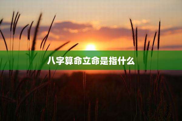 八字算命立命是指什么