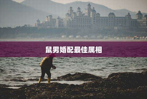 鼠男婚配最佳属相