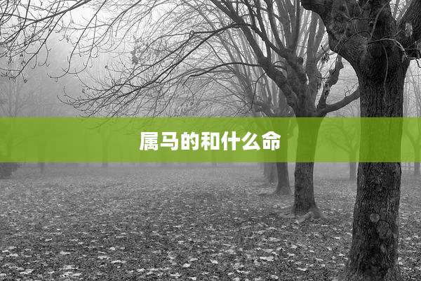 属马的和什么命