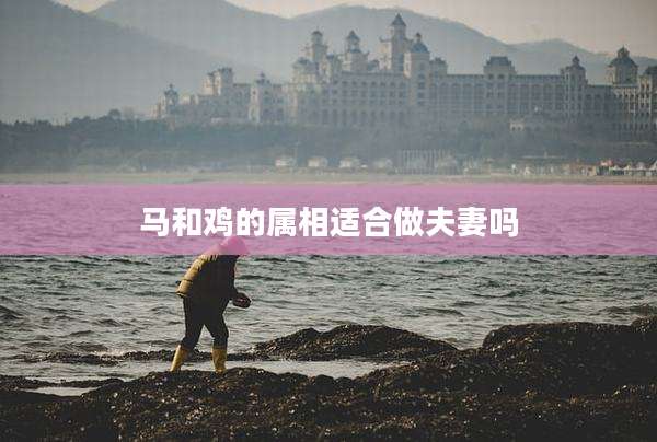 马和鸡的属相适合做夫妻吗