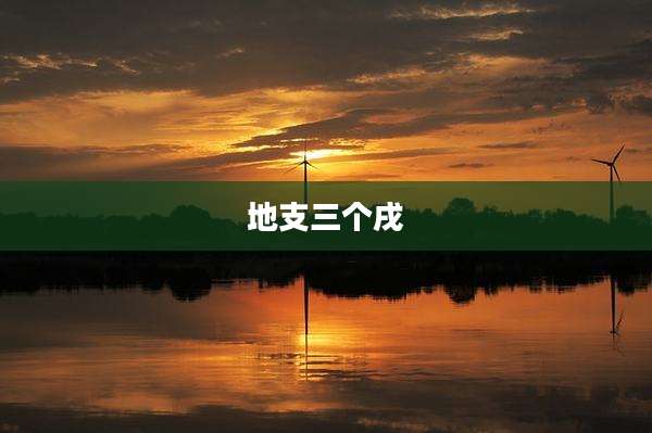 地支三个戌