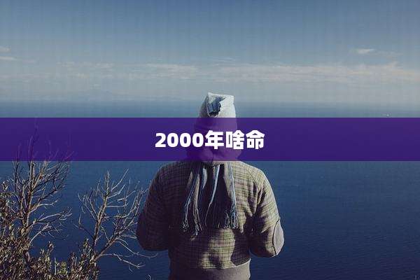 2000年啥命
