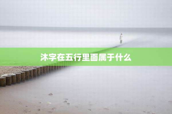 沐字在五行里面属于什么