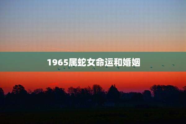 1965属蛇女命运和婚姻