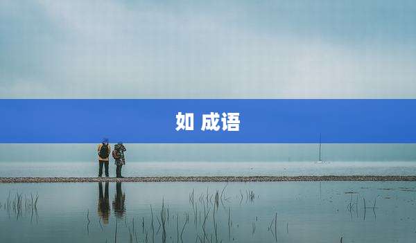 如 成语