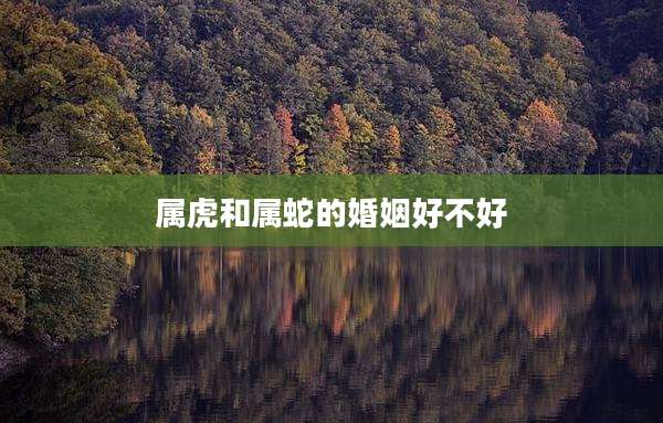 属虎和属蛇的婚姻好不好