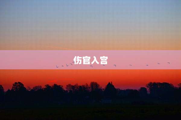 伤官入宫