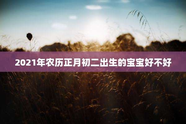 2021年农历正月初二出生的宝宝好不好
