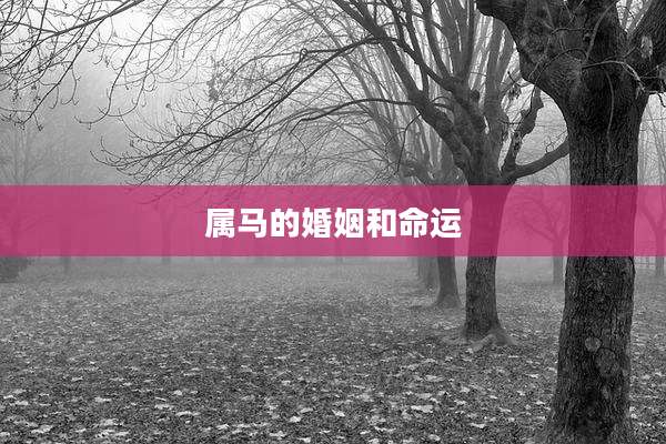 属马的婚姻和命运