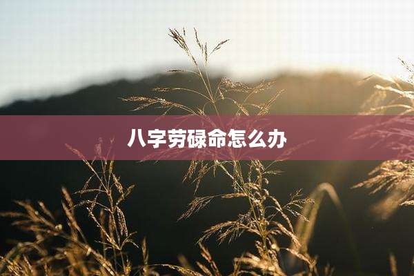 八字劳碌命怎么办